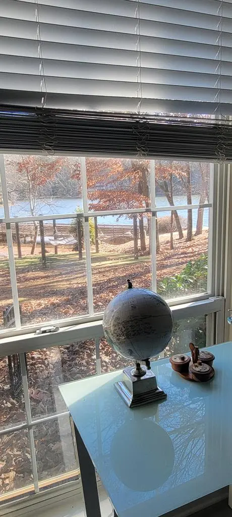 Looking for a roommate