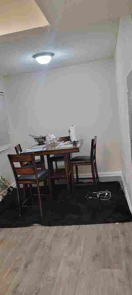 Looking for a roommate