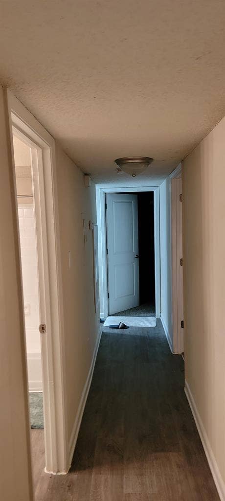 Looking for a roommate