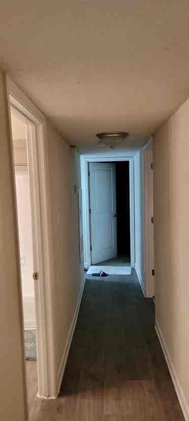 Looking for a roommate