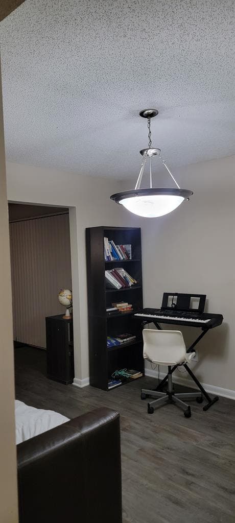 Looking for a roommate