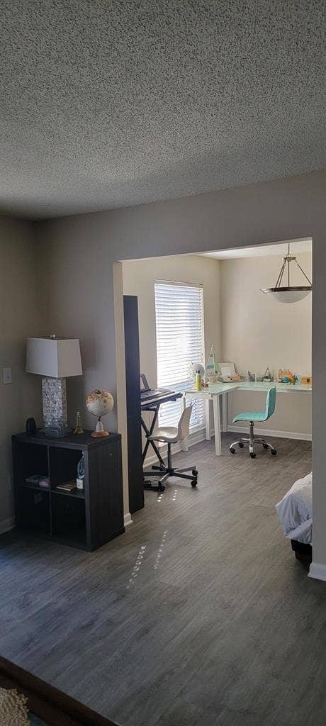 Looking for a roommate