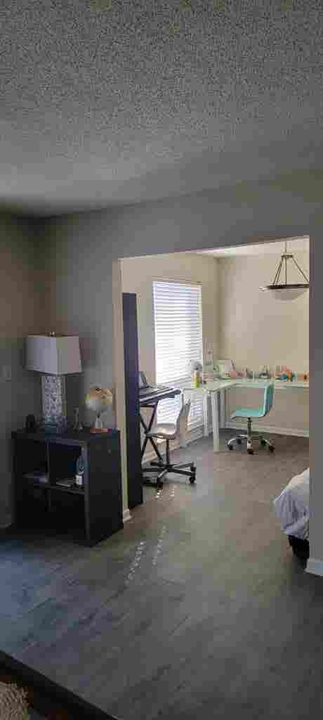 Looking for a roommate