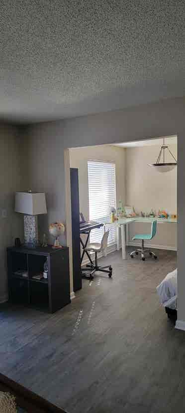 Looking for a roommate