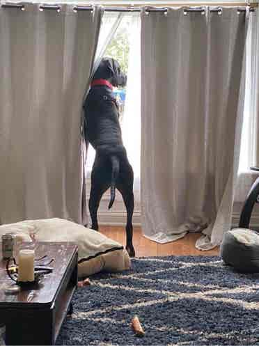Central Business / Vine Shared Home