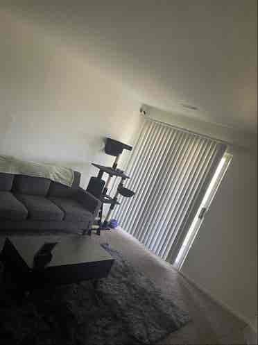 Room for Rent ~ Cozy and Clean!