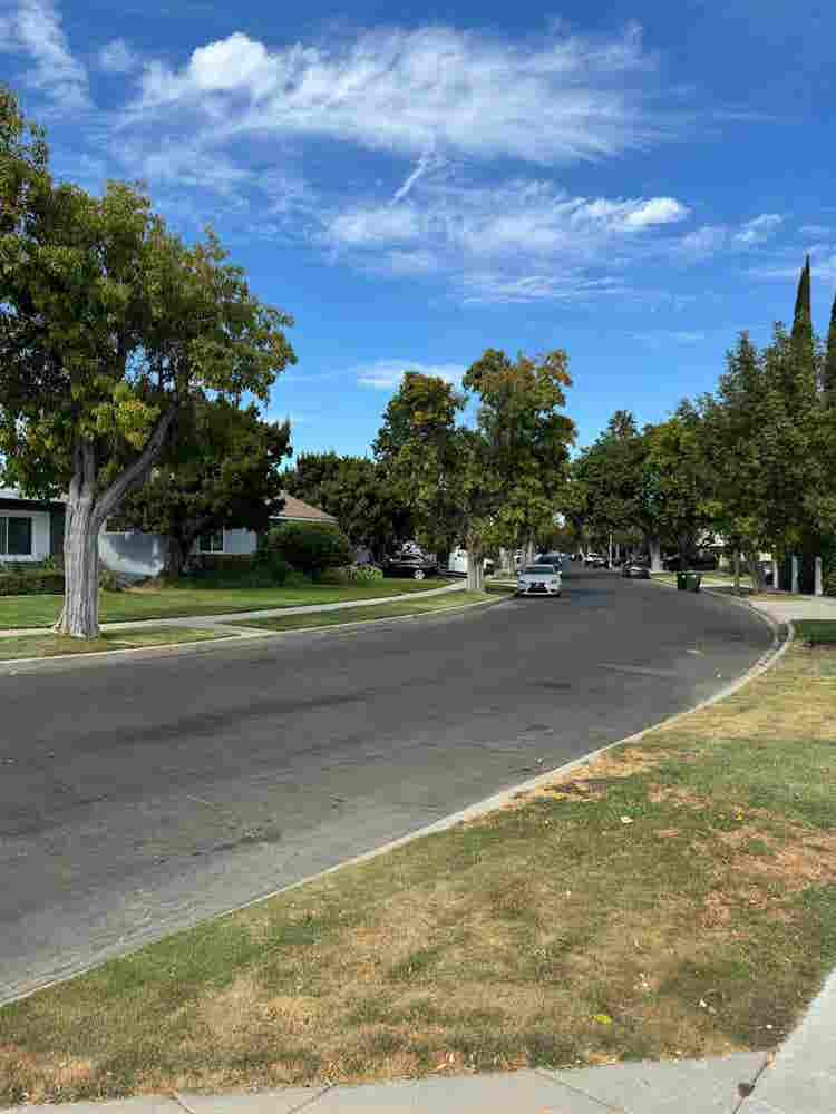 Mid-Century Modern Rooms in Encino