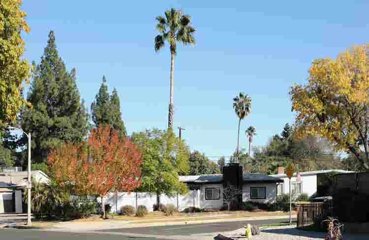 Mid-Century Modern Rooms in Encino