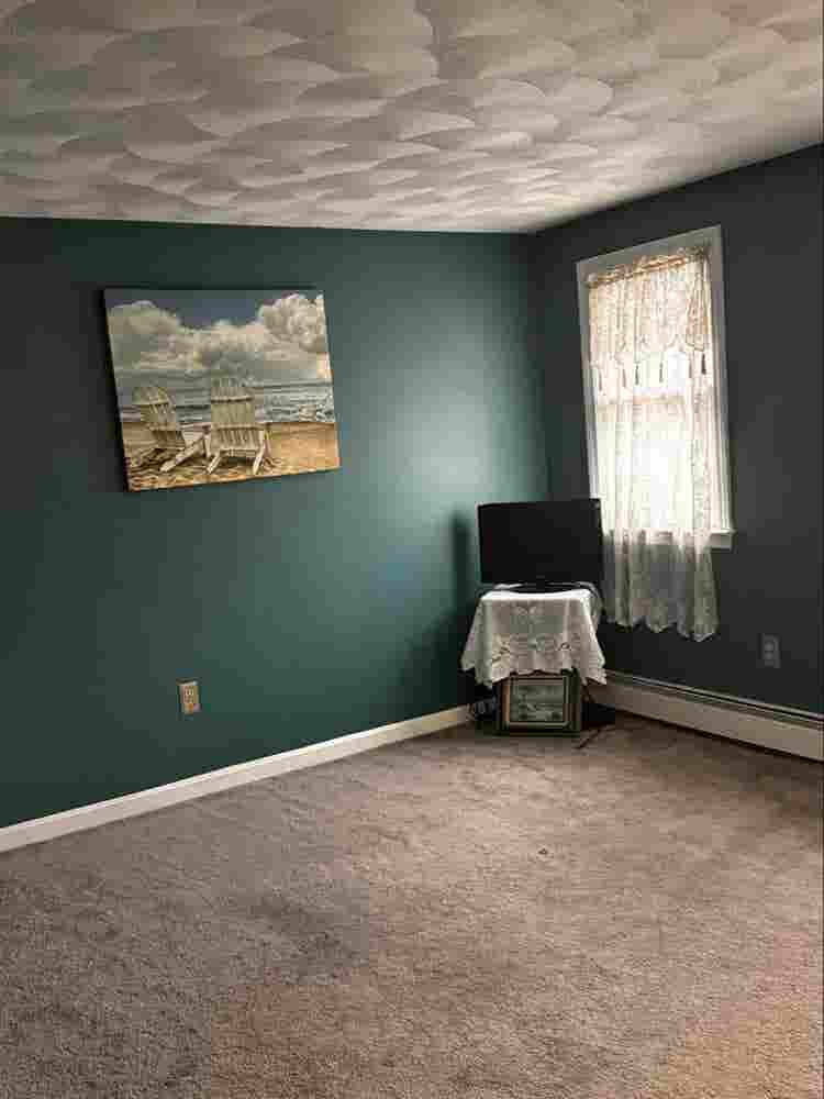 Large room with walk-in closet