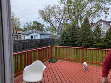 1 Large Berdoom in 4 Bd House