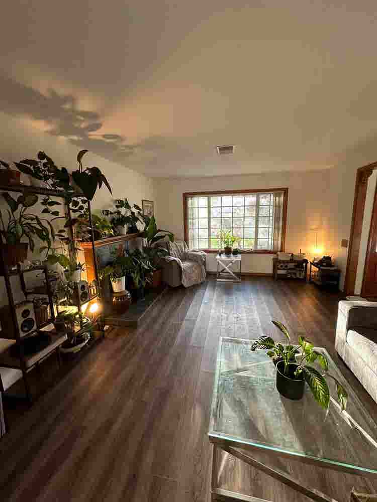 Single Room in Clairemont Home