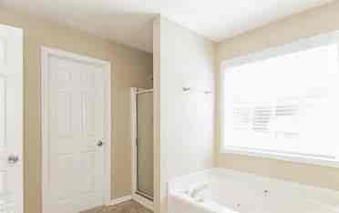 Looking to rent full house or room