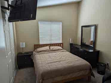 furnished room, must love dogs.