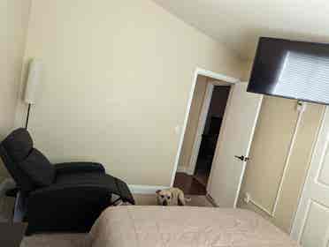 furnished room, must love dogs.