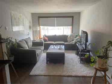 Private room/bathroom available