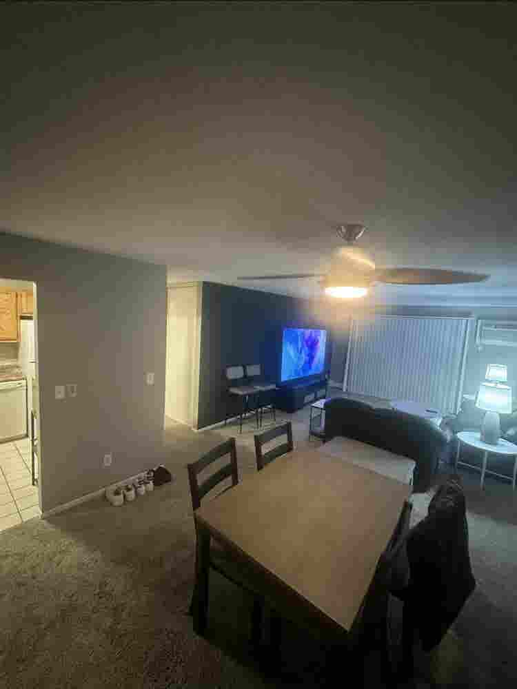Looking for a roommate!