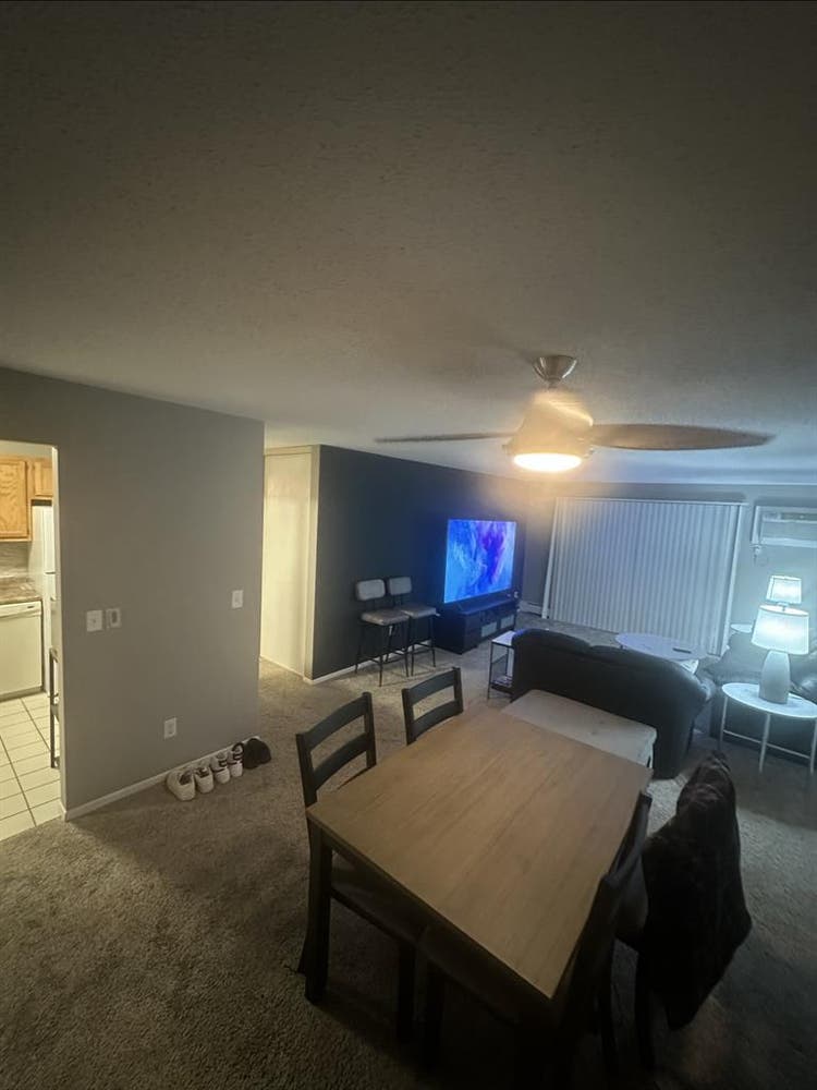 Looking for a roommate!