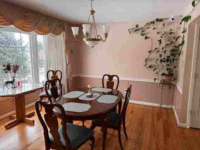 Room in a Female Only House 