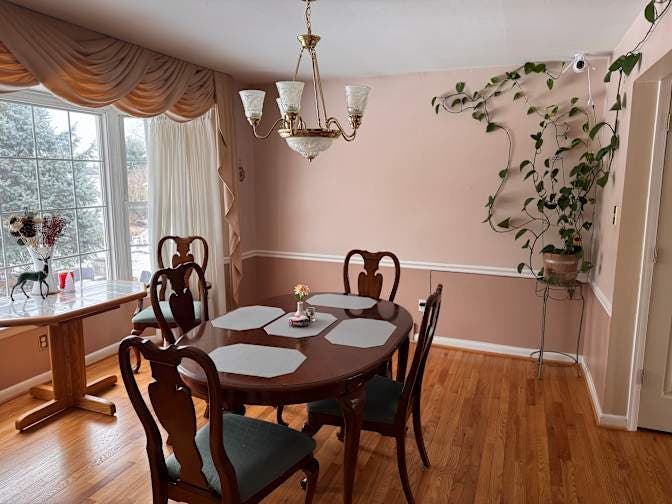 Room in a Female Only House 
