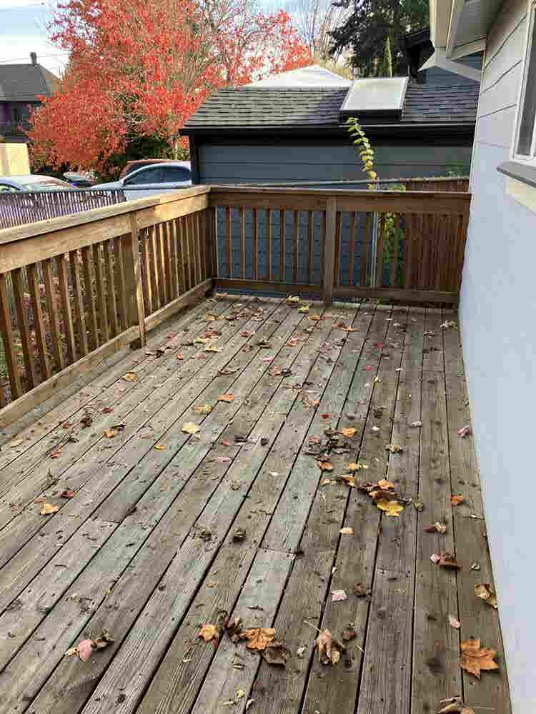 Cute North Portland Bungalow BR2
