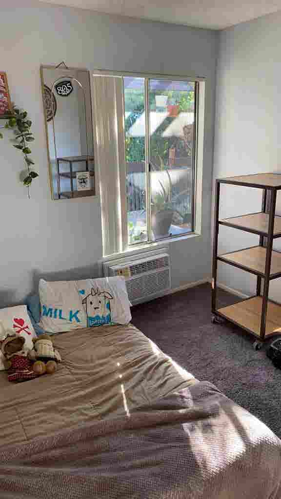 Private room in shared apartment