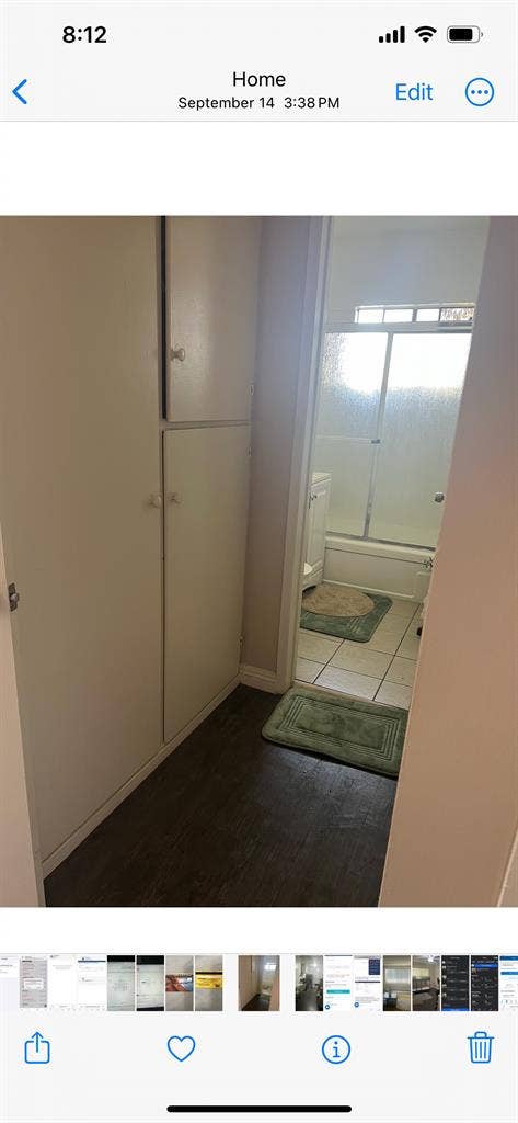Looking for a roommate
