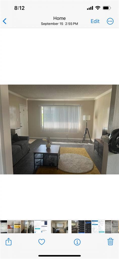 Looking for a roommate