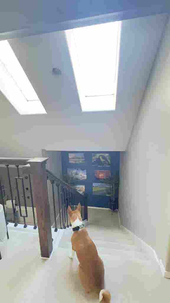 Hillsboro Furnished Room -