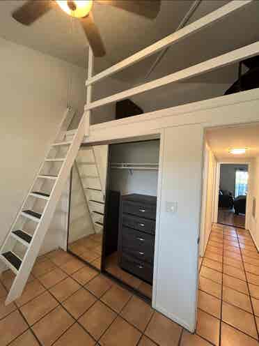 Roommate needed in Sept