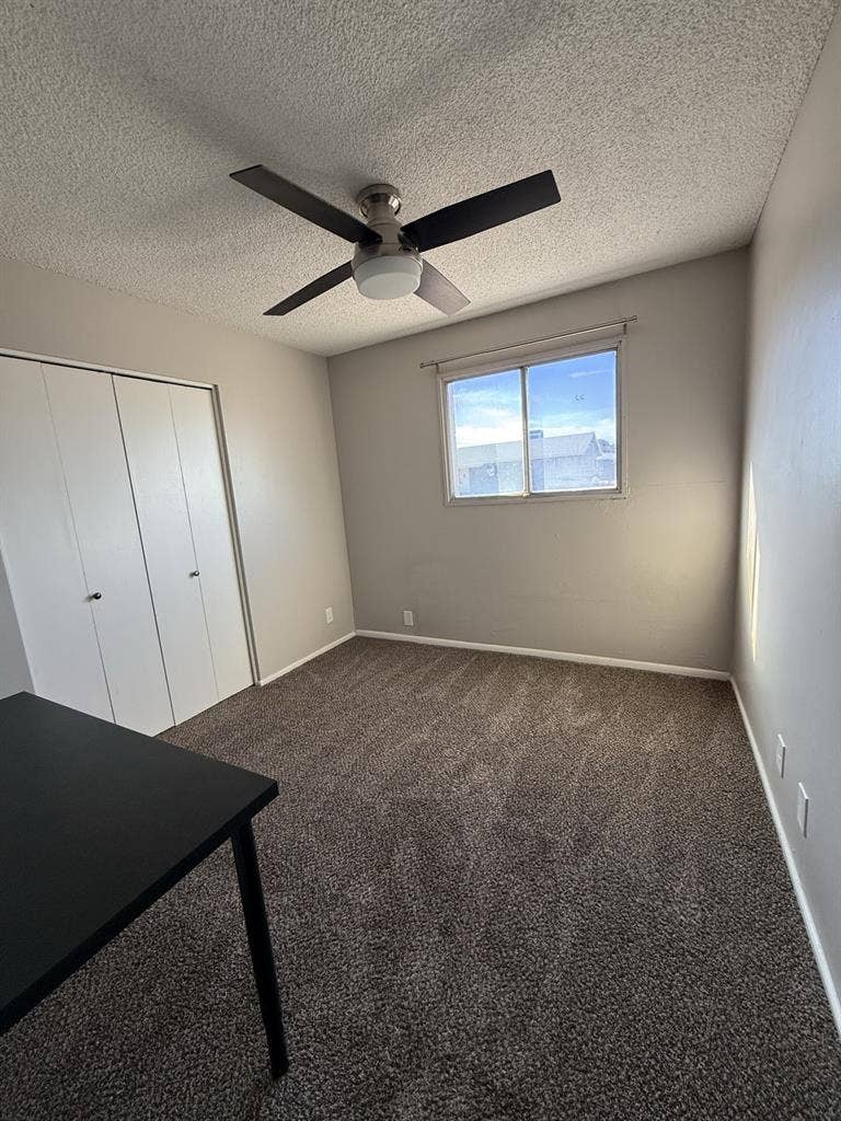 Room for Rent Tempe by ASU