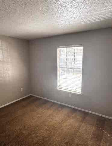 Just need a roommate