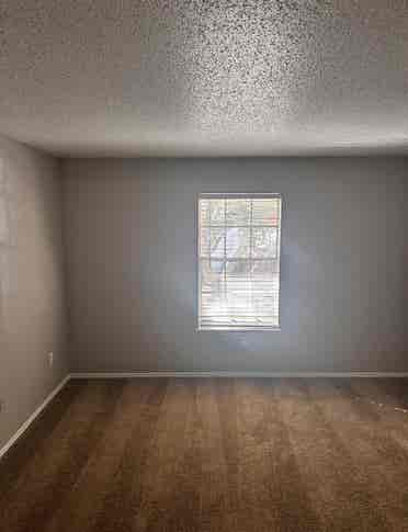 Just need a roommate