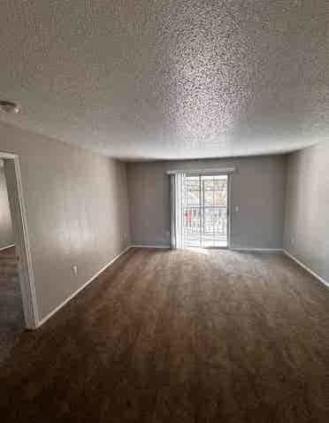 Just need a roommate