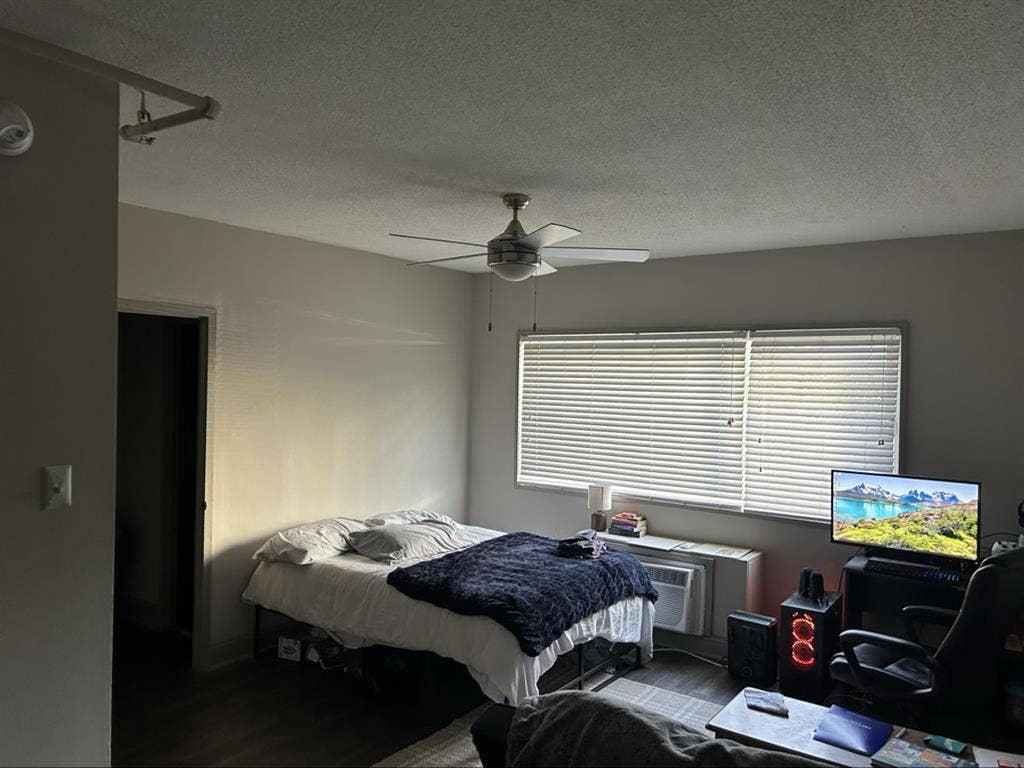Studio for the Summer