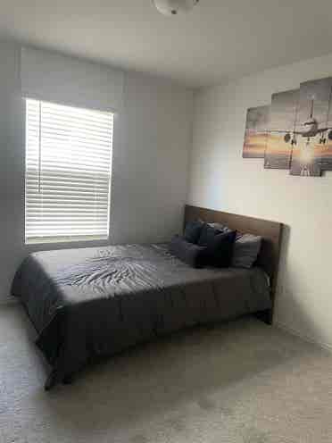 Room For Rent