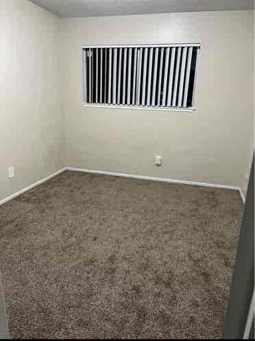 Looking for a roommate !