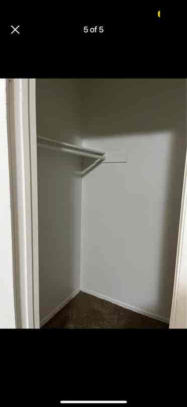 Looking for a roommate !