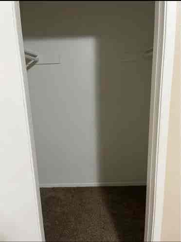 Looking for a roommate !