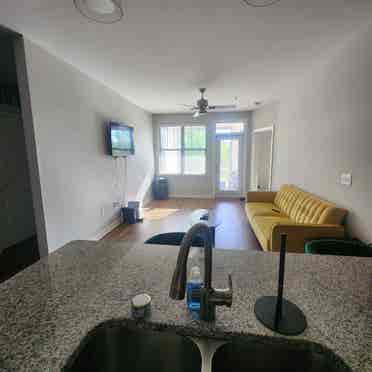 Roommate wanted