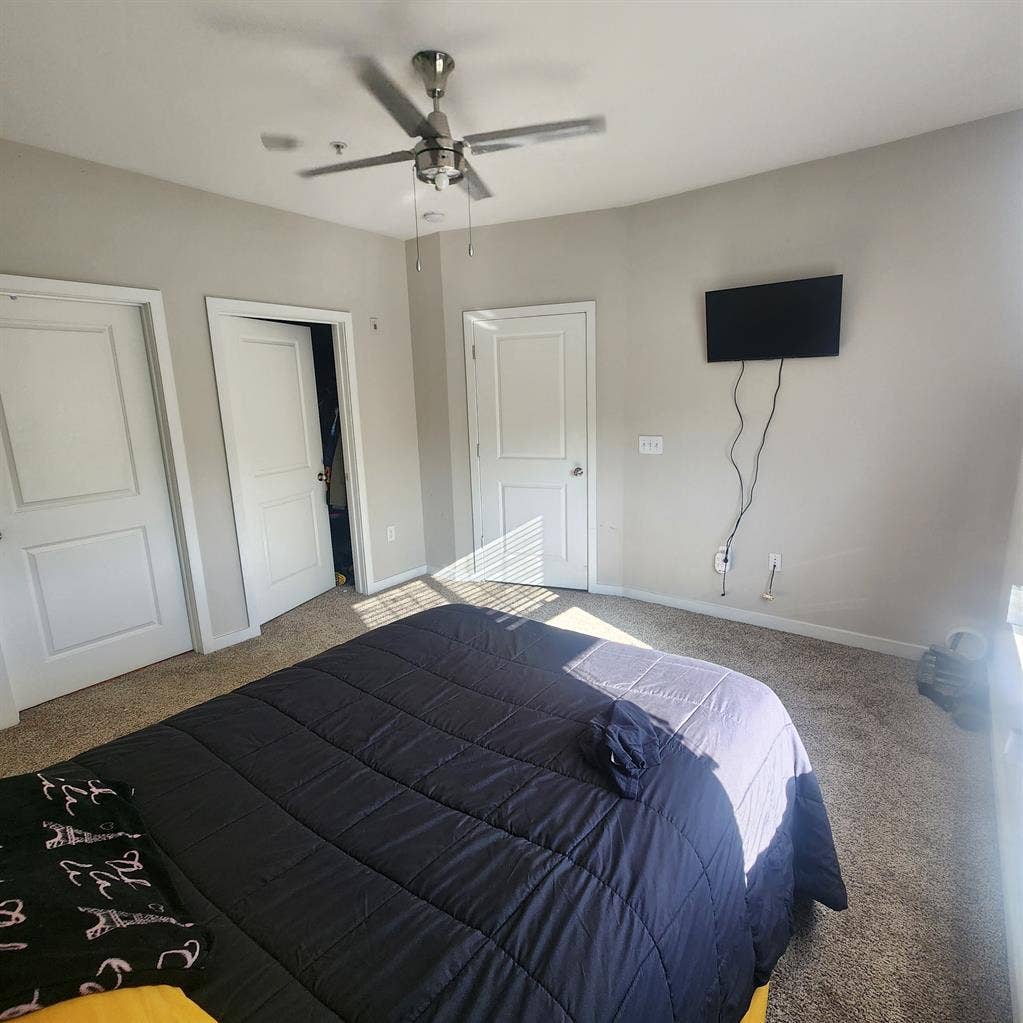Roommate wanted