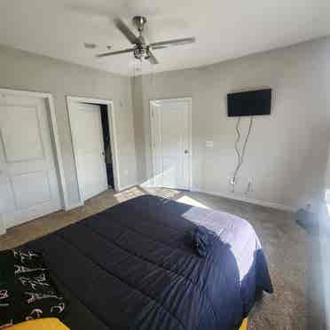 Roommate wanted