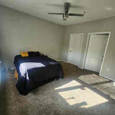 Roommate wanted