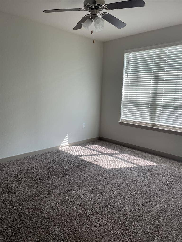 Private Bed/Bath for Rent