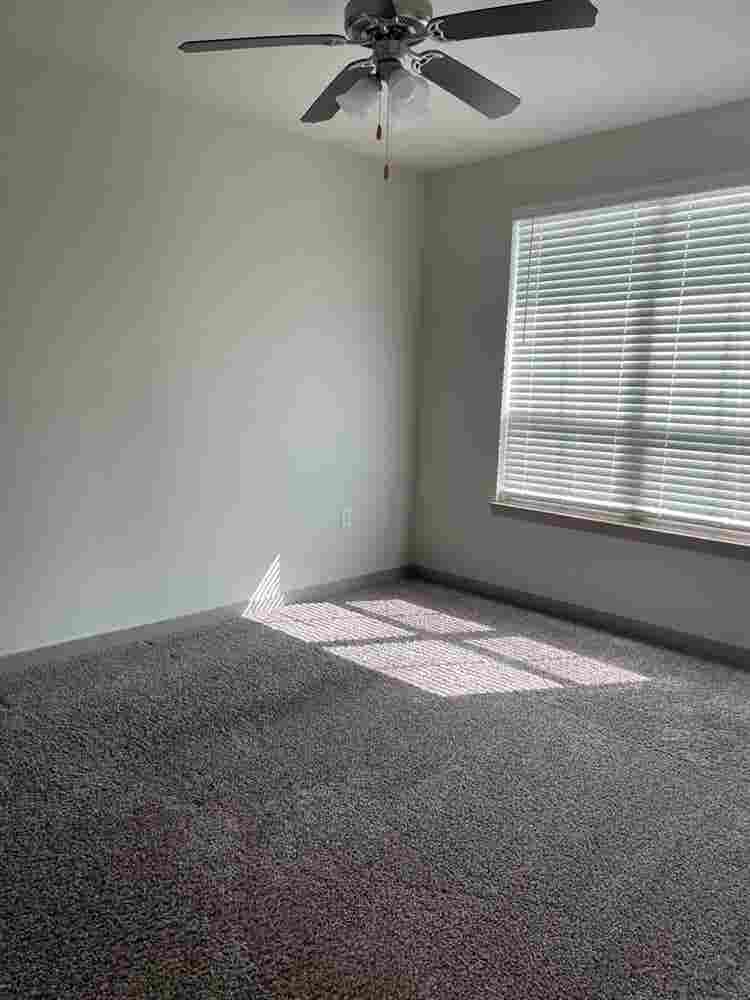 Private Bed/Bath for Rent