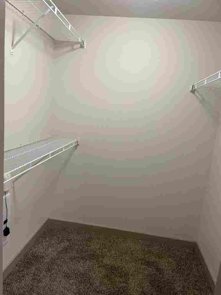Private Bed/Bath for Rent