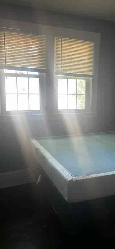 Looking for a roomie.