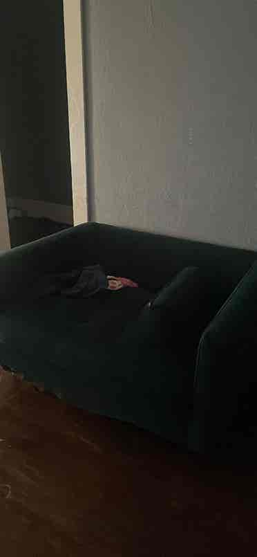 Looking for a roomie.