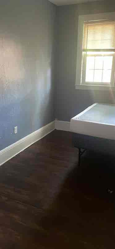 Looking for a roomie.