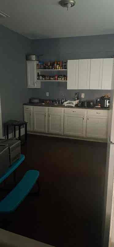 Looking for a roomie.