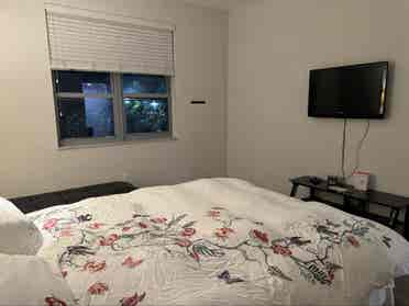 Beautiful room for rent